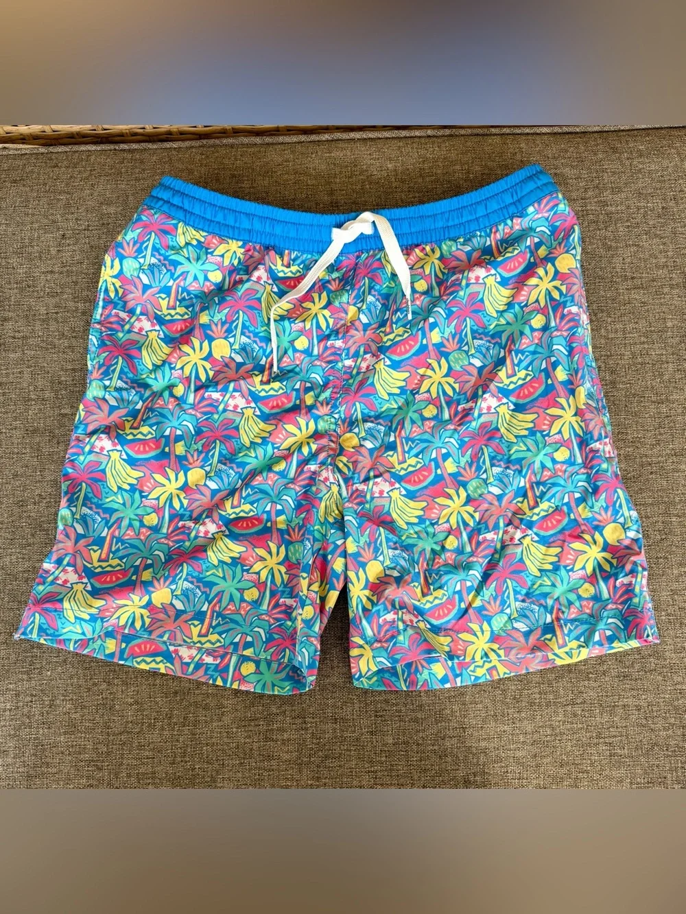 Boys Chubbies Swim Trunks Lined Set of 2 Size Large 14/16 Multicolor